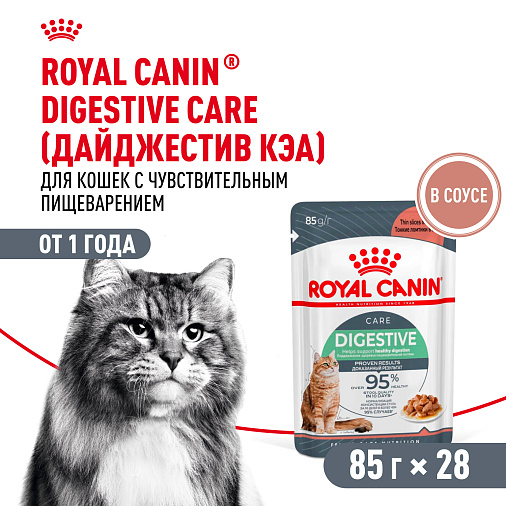 Royal Canin Digestive Care Корм консервированный полнорационный для взрослых кошек с чувствительным пищеварением, тонкие ломтики в соусе