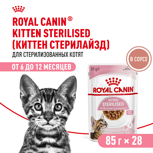 Royal Canin KITTEN STERILISED Корм консервированный полнорационный для кошек — Специально для кастрированных и стерилизованных котят (в возрасте от 6 до 12 месяцев), мелкие кусочки в соусе
