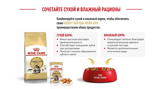 Royal Canin Maine Coon Adult Корм сухой сбалансированный для взрослых кошек породы Мэйн Кун