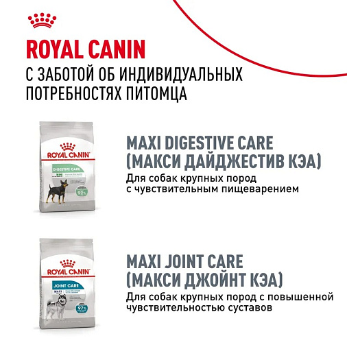 Royal Canin Maxi Dermacomfort Корм сухой для взрослых собак крупных размеров при раздражениях и зуде кожи