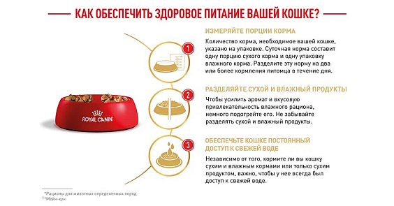 Royal Canin Maine Coon Adult Корм сухой сбалансированный для взрослых кошек породы Мэйн Кун