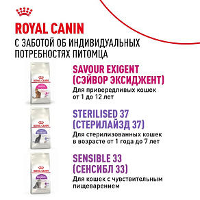 Royal Canin Protein Exigent Корм сухой сбалансированный для привередливых взрослых кошек от 1 года