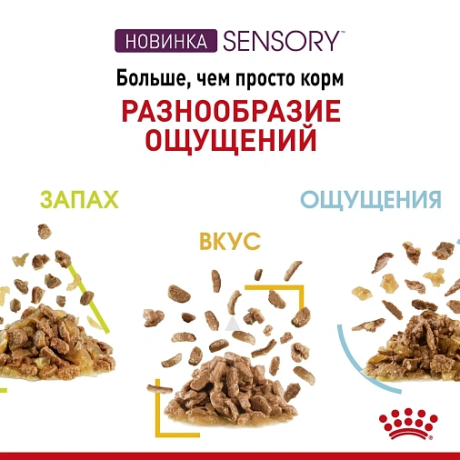 Royal Canin Sensory ощущения Полнорационный влажный корм для взрослых котов, стимулирующий вкусовые рецепторы для распознавания уникальных текстур (в желе)