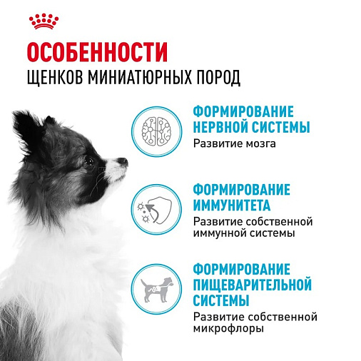 Royal Canin X-Small Puppy Корм сухой для щенков очень мелких размеров до 10 месяцев