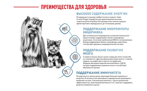 Royal Canin X-Small Puppy Корм сухой для щенков очень мелких размеров до 10 месяцев
