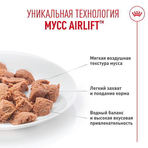 Royal Canin Appetite Control Care AirLift™ Корм консервированный полнорационный для взрослых кошек (мусс AirLift™)