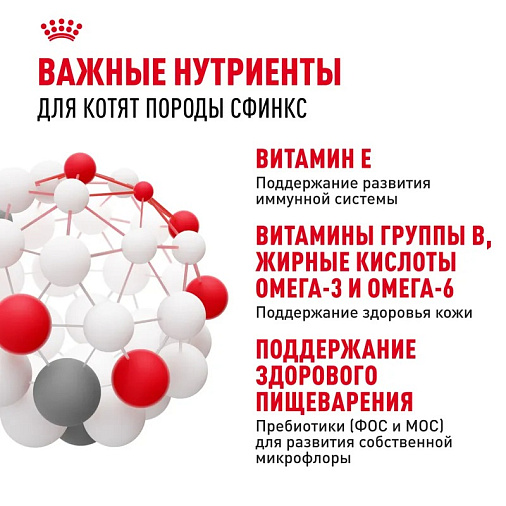 Royal Canin Sphynx Kitten Корм сухой сбалансированный для котят породы Сфинкс до 12 месяцев