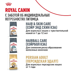Royal Canin Persian Kitten Корм сухой сбалансированный для персидских котят (до 12 месяцев)