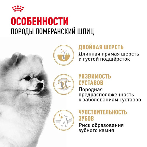 Royal Canin Pomeranian Adult Корм сухой для взрослых собак породы Померанский Шпиц