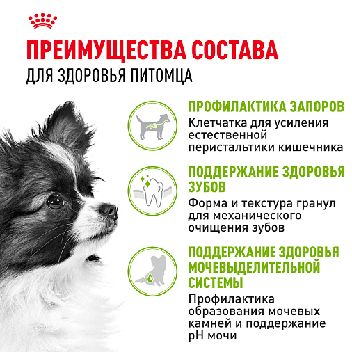 Royal Canin X-Small Adult Корм сухой для взрослых собак очень мелких размеров от 10 месяцев