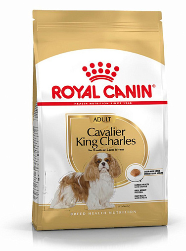 Royal Canin Cavalier King Charles Adult Корм сухой полнорационный для собак - Специально для взрослых и стареющих собак породы Кавалер кинг чарльз спаниель в возрасте 10 месяцев и старше