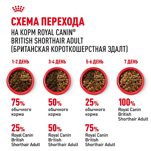 Royal Canin British Shorthair Adult Корм сухой сбалансированный для взрослых британских короткошерстных кошек