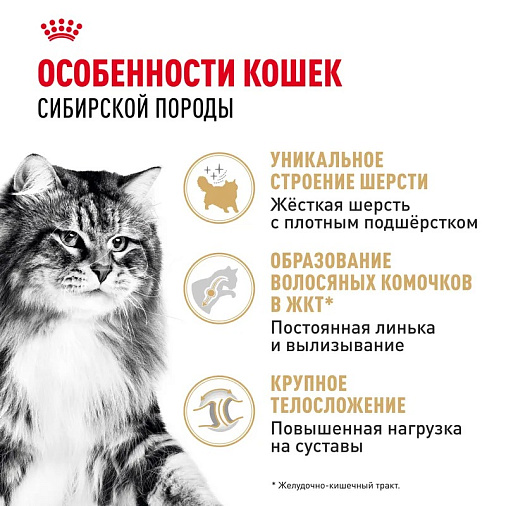 Royal Canin Siberian Adult Корм сухой для взрослых кошек породы Сибирская от 12 месяцев