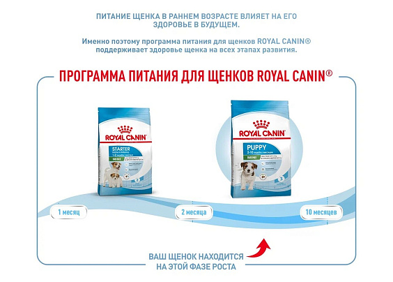 Royal Canin Mini Puppy Корм сухой для щенков мелких пород в возрасте до 10 месяцев