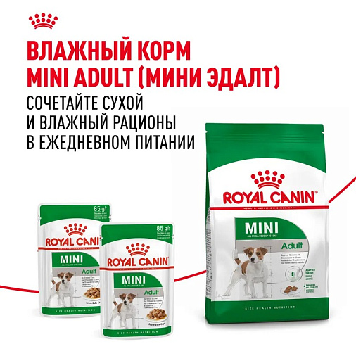 Royal Canin Mini Adult Корм сухой для взрослых собак мелких размеров от 10 месяцев
