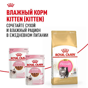 Royal Canin Persian Kitten Корм сухой сбалансированный для персидских котят (до 12 месяцев)