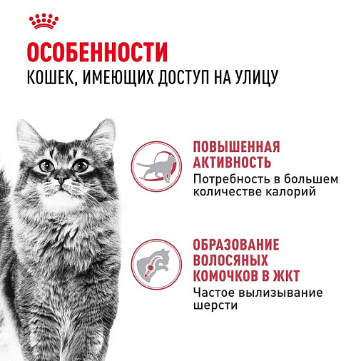 Royal Canin Fit 32 Корм сухой сбалансированный для взрослых умеренно активных кошек от 1 года