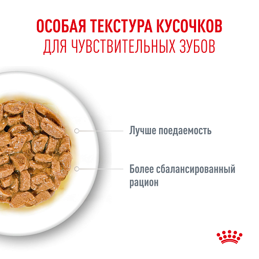 Royal Canin Ageing 15+ Корм влажный для очень пожилых кошек старше 15 лет, кусочки в соусе