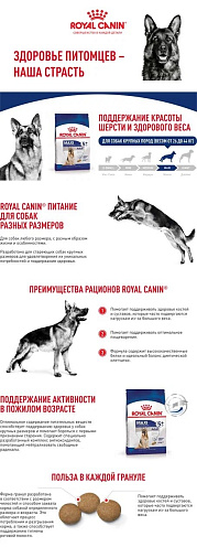 Royal Canin Maxi Adult Корм сухой для взрослых собак крупных размеров от 5 лет до 8 лет