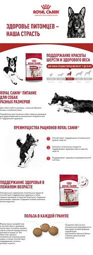 Royal Canin Medium Adult 7+ Корм сухой для взрослых собак средних размеров от 7 лет и старше