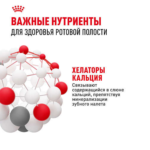 Royal Canin Mini Dental Care Корм сухой для собак мелких размеров, предрасположенных к образованию зубного камня