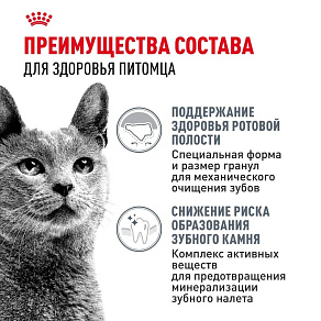 Royal Canin Dental Care Корм сухой полнорационный сбалансированный для взрослых кошек