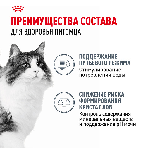 Royal Canin Корм для профилактики нарушения мочевыделительной системы у взрослых кошек (Urinary Care), мелкие кусочки в соусе