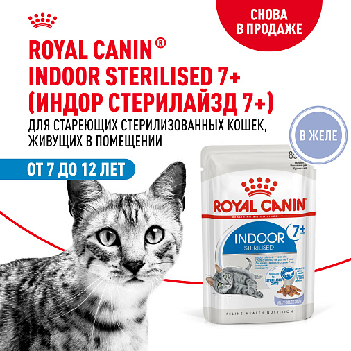 Royal Canin INDOOR STERILISED 7+ Корм консервированный полнорационный для кошек (в возрасте от 7 до 12 лет), живущих в помещении (мелкие кусочки в желе)