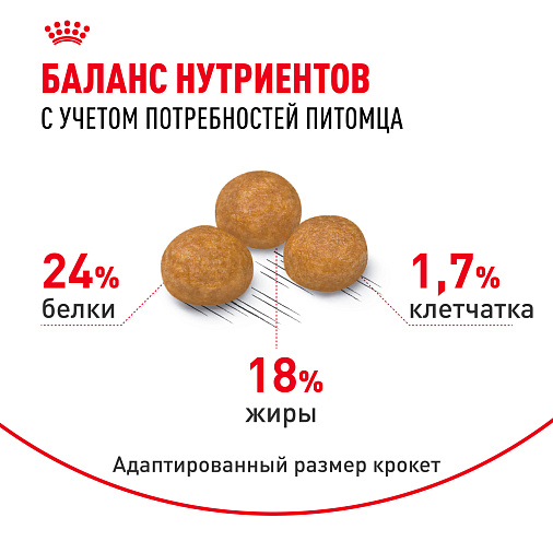 Royal Canin X-Small Adult Корм сухой для взрослых собак очень мелких размеров от 10 месяцев