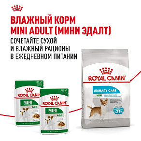 Royal Canin Mini Urinary Care Корм сухой для собак мелких размеров с чувствительной мочевыделительной системой