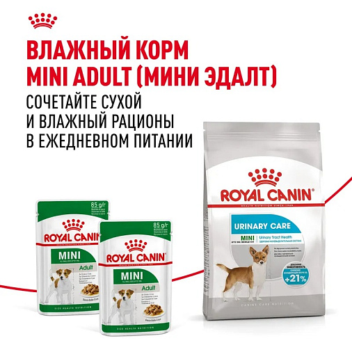 Royal Canin Mini Urinary Care Корм сухой для собак мелких размеров с чувствительной мочевыделительной системой