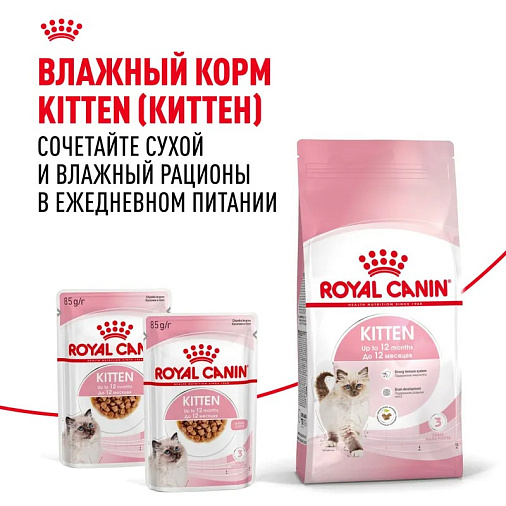Royal Canin Kitten Корм сухой сбалансированный для котят в период второй фазы роста до 12 месяцев