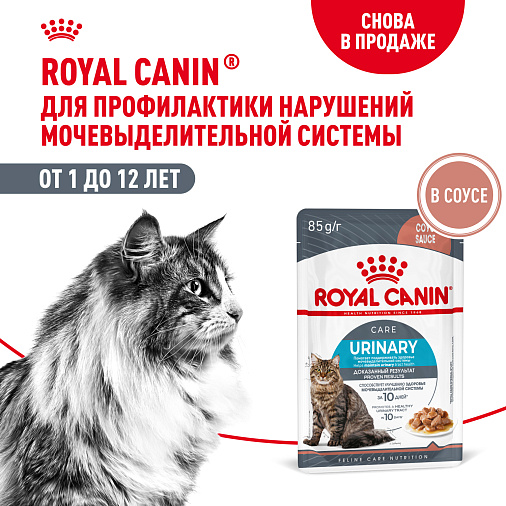Royal Canin Корм для профилактики нарушения мочевыделительной системы у взрослых кошек (Urinary Care), мелкие кусочки в соусе