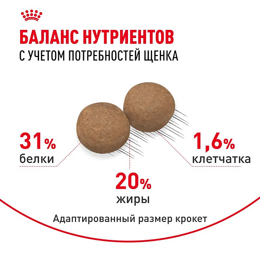 Royal Canin Mini Puppy Корм сухой для щенков мелких пород в возрасте до 10 месяцев