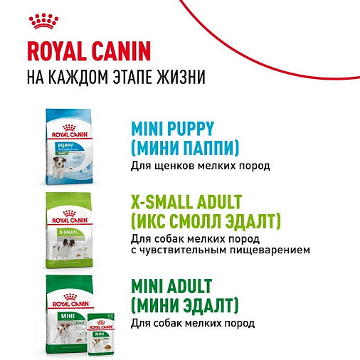 Royal Canin X-Small Puppy Корм сухой для щенков очень мелких размеров до 10 месяцев