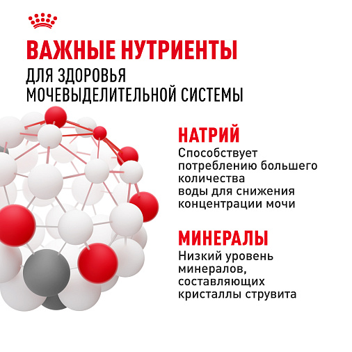 Royal Canin Корм для профилактики нарушения мочевыделительной системы у взрослых кошек (Urinary Care), мелкие кусочки в соусе