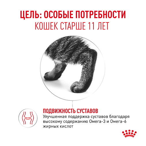 Royal Canin Ageing 11+ Корм сухой для пожилых кошек старше 11 лет