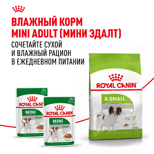 Royal Canin X-Small Adult Корм сухой для взрослых собак очень мелких размеров от 10 месяцев