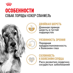 Royal Canin Cocker Adult Корм сухой для взрослых собак породы Кокер Спаниель от 12 месяцев