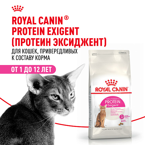 Royal Canin Protein Exigent Корм сухой сбалансированный для привередливых взрослых кошек от 1 года