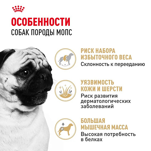 Royal Canin Pug Adult Корм сухой для взрослых собак породы Мопс от 10 месяцев