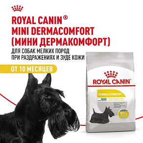 Royal Canin Mini Dermacomfort Корм сухой для взрослых собак мелких размеров при раздражениях и зуде кожи