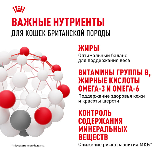 Royal Canin British Shorthair Adult Корм консервированный для взрослых британских короткошерстных кошек,соус