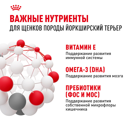 Royal Canin Yorkshire Terrier Puppy Корм сухой для щенков породы йоркширский терьер до 10 месяцев
