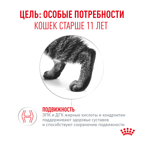 Royal Canin Ageing 11+ AirLift™ Корм консервированный полнорационный для кошек старше 11 лет (мусс AirLift™)