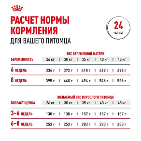 Royal Canin Maxi Starter Корм сухой для щенков крупных размеров до 2-х месяцев, беременных и кормящих сук