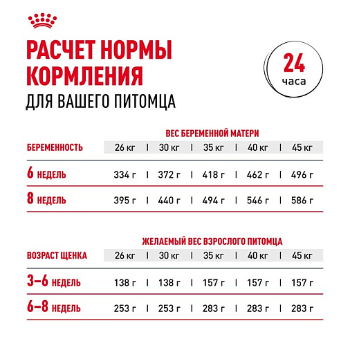 Royal Canin Maxi Starter Корм сухой для щенков крупных размеров до 2-х месяцев, беременных и кормящих сук