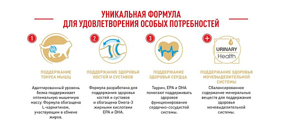 Royal Canin British Shorthair Adult Корм сухой сбалансированный для взрослых британских короткошерстных кошек