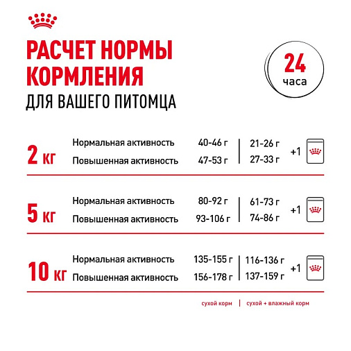Royal Canin Mini Adult Корм сухой для взрослых собак мелких размеров от 10 месяцев