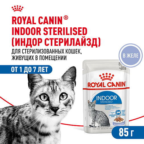Royal Canin Indoor Sterilised (в желе) Корм консервированный полнорационный для взрослых кошек (в возрасте от 1 года до 7 лет), постоянно живущих в помещении